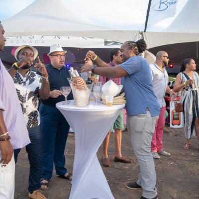 Ds8 3310 Copy