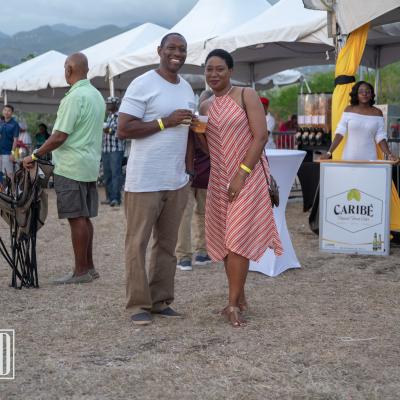 Ds8 3376 Copy